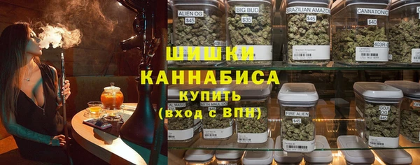 амф Мегион