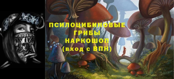 амф Мегион