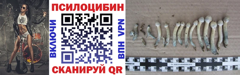 Галлюциногенные грибы ЛСД  Купить где  Усть-Лабинск 